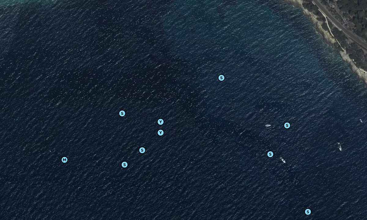 Satelite image of Baie de Roquebrune