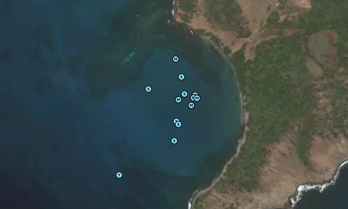 Satelite image of Baliceaux Island - Landing Bay