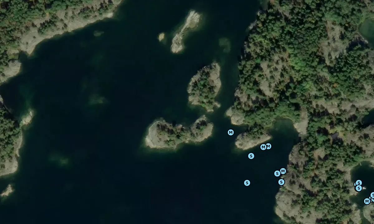 Satelite image of Bananis