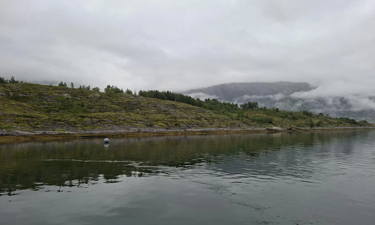 Bardalsøya: {"base": "de", "no": "Mooringsb\u00f8ye tett ved \u00f8ya.", "se": "Mooringboj n\u00e4ra \u00f6n.", "en": "Mooring buoy close to the island.", "da": "Mooringsb\u00f8je t\u00e6t p\u00e5 \u00f8en.", "fr": "Bou\u00e9e d'amarrage pr\u00e8s de l'\u00eele.", "de": "Mooringboje dicht an der Insel.", "es": "Boya de amarre cercana a la isla.", "it": "Boa di ormeggio vicino all'isola.", "pt": "B\u00f3ia de amarra\u00e7\u00e3o perto da ilha.", "nl": "Mooringsboei dicht bij het eiland.", "pl": "Boja cumownicza blisko wyspy.", "uk": "\u0428\u0432\u0430\u0440\u0442\u043e\u0432\u0438\u0439 \u0431\u0443\u0439 \u0431\u043b\u0438\u0437\u044c\u043a\u043e \u0434\u043e \u043e\u0441\u0442\u0440\u043e\u0432\u0430.", "ro": "Geamandur\u0103 pentru acostare aproape de insul\u0103.", "tr": "Adaya yak\u0131n \u015famand\u0131ra ile ba\u011flanma.", "el": "\u0394\u03ad\u03c3\u03c4\u03c1\u03b1 \u03bb\u03b9\u03bc\u03b1\u03bd\u03b9\u03bf\u03cd \u03ba\u03bf\u03bd\u03c4\u03ac \u03c3\u03c4\u03bf \u03bd\u03b7\u03c3\u03af.", "cs": "Kotv\u00edc\u00ed b\u00f3je bl\u00edzko ostrova.", "hu": "Horgonylabda k\u00f6zel a szigethez.", "fi": "Poijukiinnitys l\u00e4hell\u00e4 saarta.", "bg": "\u0410\u043a\u043e\u0441\u0442\u0438\u0440\u0430\u043d\u0435 \u043d\u0430 \u0448\u0430\u043c\u0430\u043d\u0434\u0443\u0440\u0430 \u0431\u043b\u0438\u0437\u043e \u0434\u043e \u043e\u0441\u0442\u0440\u043e\u0432\u0430.", "sr": "Moring bova blizu ostrva.", "et": "Poordipoi saare l\u00e4hedal.", "lv": "Mooringa boja cie\u0161i pie salas.", "lt": "\u0160vartavimo boja arti salos."}