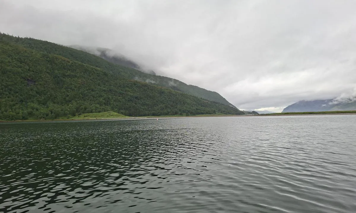 Bardalsøya: {"base": "de", "no": "Bukten bak \u00f8ya er godt beskyttet mot d\u00f8nningene fra kommersiell skipsfart p\u00e5 Ranafjorden.", "se": "Bukten bakom \u00f6n \u00e4r v\u00e4l skyddad mot yrkessj\u00f6fartens svall p\u00e5 Ranefjorden.", "en": "The bay behind the island is well protected against the swell from commercial shipping on the Ranafjord.", "da": "Bugten bag \u00f8en er godt beskyttet mod erhvervsskibsfartens d\u00f8nninger p\u00e5 Ranafjorden.", "fr": "La baie derri\u00e8re l'\u00eele est bien prot\u00e9g\u00e9e contre la houle caus\u00e9e par le trafic maritime professionnel sur le fjord de Rana.", "de": "Die Bucht hinter der Insel ist gut gesch\u00fctzt gegen den Schwell der Berufsschifffahrt auf dem Ranafjord.", "es": "La bah\u00eda detr\u00e1s de la isla est\u00e1 bien protegida contra el oleaje del tr\u00e1fico mar\u00edtimo comercial en el Ranafjord.", "it": "La baia dietro l'isola \u00e8 ben protetta contro il mare mosso causato dal traffico marittimo commerciale sul Ranafjord.", "pt": "A ba\u00eda atr\u00e1s da ilha \u00e9 bem protegida contra a ondula\u00e7\u00e3o do tr\u00e1fego mar\u00edtimo comercial no fiorde de Rana.", "nl": "De baai achter het eiland is goed beschermd tegen de deining van de beroepsvaart op de Ranafjord.", "pl": "Zatoka za wysp\u0105 jest dobrze chroniona przed falowaniem powodowanym przez statki handlowe na Ranafjord.", "uk": "\u0417\u0430\u0442\u043e\u043a\u0430 \u0437\u0430 \u043e\u0441\u0442\u0440\u043e\u0432\u043e\u043c \u0434\u043e\u0431\u0440\u0435 \u0437\u0430\u0445\u0438\u0449\u0435\u043d\u0430 \u0432\u0456\u0434 \u0445\u0432\u0438\u043b\u044c, \u0449\u043e \u0443\u0442\u0432\u043e\u0440\u044e\u044e\u0442\u044c\u0441\u044f \u043a\u043e\u043c\u0435\u0440\u0446\u0456\u0439\u043d\u0438\u043c\u0438 \u0441\u0443\u0434\u043d\u0430\u043c\u0438 \u043d\u0430 \u0420\u0430\u043d\u0430-\u0444\u0456\u043e\u0440\u0434\u0456.", "ro": "Golful din spatele insulei este bine protejat \u00eempotriva valurilor generate de traficul maritim comercial pe fiordul Rana.", "tr": "Adan\u0131n arkas\u0131nda yer alan koy, Ranafjord'daki ticari gemi trafi\u011finin olu\u015fturdu\u011fu dalgalara kar\u015f\u0131 iyi korunmu\u015ftur.", "el": "\u039f \u03ba\u03cc\u03bb\u03c0\u03bf\u03c2 \u03c0\u03af\u03c3\u03c9 \u03b1\u03c0\u03cc \u03c4\u03bf \u03bd\u03b7\u03c3\u03af \u03b5\u03af\u03bd\u03b1\u03b9 \u03ba\u03b1\u03bb\u03ac \u03c0\u03c1\u03bf\u03c3\u03c4\u03b1\u03c4\u03b5\u03c5\u03bc\u03ad\u03bd\u03bf\u03c2 \u03b1\u03c0\u03cc \u03c4\u03bf\u03bd \u03ba\u03c5\u03bc\u03b1\u03c4\u03b9\u03c3\u03bc\u03cc \u03c4\u03c9\u03bd \u03b5\u03c0\u03b1\u03b3\u03b3\u03b5\u03bb\u03bc\u03b1\u03c4\u03b9\u03ba\u03ce\u03bd \u03c0\u03bb\u03bf\u03af\u03c9\u03bd \u03c3\u03c4\u03bf \u03a1\u03ac\u03bd\u03b1\u03c6\u03b9\u03cc\u03c1\u03b4.", "cs": "Z\u00e1toka za ostrovem je dob\u0159e chr\u00e1n\u011bna proti vlnobit\u00ed komer\u010dn\u00ed plavby na Ranafjordu.", "hu": "A sziget m\u00f6g\u00f6tti \u00f6b\u00f6l j\u00f3l v\u00e9dett a Ranafjordon k\u00f6zleked\u0151 kereskedelmi haj\u00f3k hull\u00e1mver\u00e9se ellen.", "fi": "Lahti saaren takana on hyvin suojattu Ranafjordin ty\u00f6laivaliikenteen maininkia vastaan.", "bg": "\u0417\u0430\u043b\u0438\u0432\u044a\u0442 \u0437\u0430\u0434 \u043e\u0441\u0442\u0440\u043e\u0432\u0430 \u0435 \u0434\u043e\u0431\u0440\u0435 \u0437\u0430\u0449\u0438\u0442\u0435\u043d \u0441\u0440\u0435\u0449\u0443 \u0432\u044a\u043b\u043d\u0438\u0442\u0435 \u043e\u0442 \u0442\u044a\u0440\u0433\u043e\u0432\u0441\u043a\u0438\u0442\u0435 \u043a\u043e\u0440\u0430\u0431\u0438 \u0432 \u0420\u0430\u043d\u0430\u0444\u0438\u043e\u0440\u0434\u0430.", "sr": "\u0417\u0430\u043b\u0438\u0432 \u0438\u0437\u0430 \u043e\u0441\u0442\u0440\u0432\u0430 \u0458\u0435 \u0434\u043e\u0431\u0440\u043e \u0437\u0430\u0448\u0442\u0438\u045b\u0435\u043d \u043e\u0434 \u0442\u0430\u043b\u0430\u0441\u0430 \u043a\u043e\u0458\u0435 \u0441\u0442\u0432\u0430\u0440\u0430\u0458\u0443 \u043a\u043e\u043c\u0435\u0440\u0446\u0438\u0458\u0430\u043b\u043d\u0438 \u0431\u0440\u043e\u0434\u043e\u0432\u0438 \u043d\u0430 \u0420\u0430\u043d\u0430\u0444\u0458\u043e\u0440\u0434\u0443.", "et": "Laht saare taga on h\u00e4sti kaitstud Ranafjordi ametilaevaliikluse lainetuse eest.", "lv": "L\u012bcis aiz salas ir labi aizsarg\u0101ts pret kravas ku\u0123niec\u012bbas rad\u012bto vi\u013c\u0146o\u0161anos Ranafjord\u0101.", "lt": "\u012elanka u\u017e salos yra gerai apsaugota nuo profesinio laivybos bangavimo Ranafjorde."}