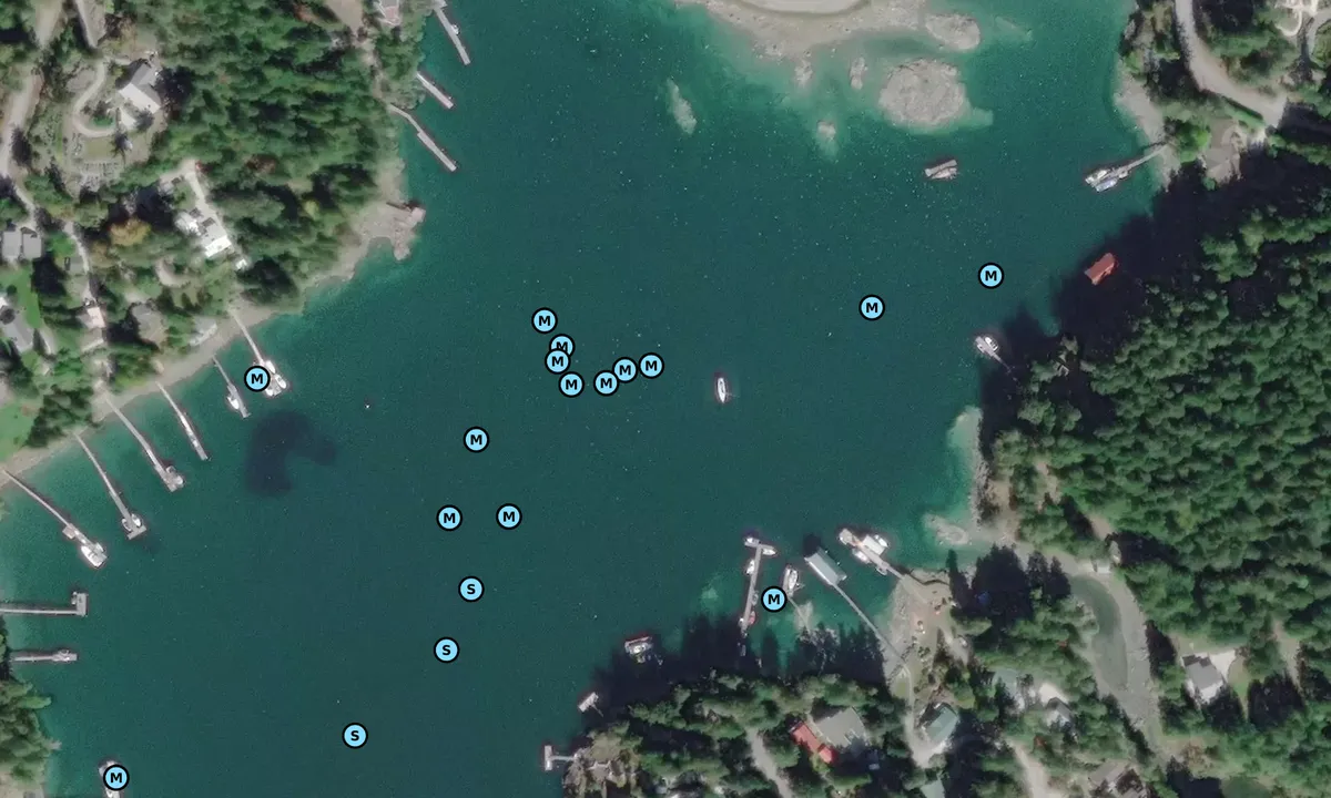 Satelite image of Bargain Bay