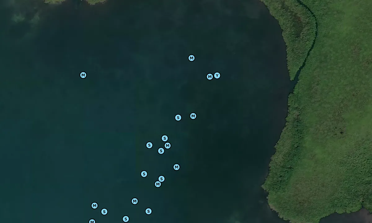 Satelite image of Barnes Sound