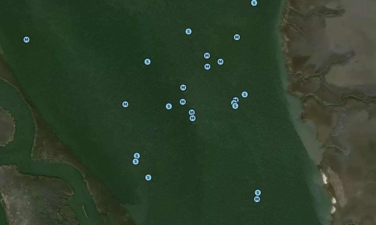 Satelite image of Bass Mouth