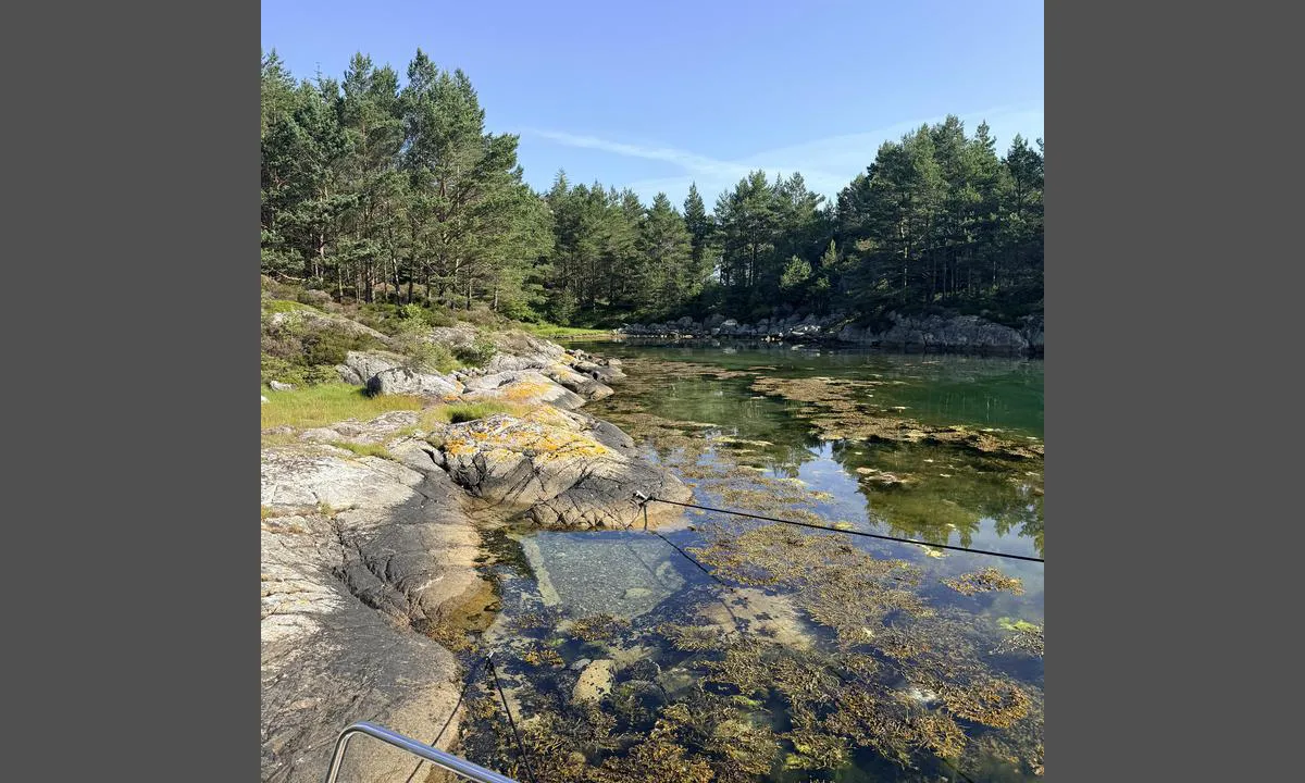 Bassnesvågen: {"base": "no", "no": "H\u00f8yre side av bukten", "se": "H\u00f6ger sida av bukten", "en": "Right side of the bay", "da": "H\u00f8jre side af bugten", "fr": "C\u00f4t\u00e9 droit de la baie", "de": "Rechte Seite der Bucht", "es": "Lado derecho de la bah\u00eda", "it": "Lato destro della baia", "pt": "Lado direito da ba\u00eda", "nl": "Rechterzijde van de baai", "pl": "Prawa strona zatoki", "uk": "\u041f\u0440\u0430\u0432\u0438\u0439 \u0431\u0456\u043a \u0437\u0430\u0442\u043e\u043a\u0438", "ro": "Partea dreapt\u0103 a golfului", "tr": "Koyun sa\u011f taraf\u0131", "el": "\u0397 \u03b4\u03b5\u03be\u03b9\u03ac \u03c0\u03bb\u03b5\u03c5\u03c1\u03ac \u03c4\u03bf\u03c5 \u03cc\u03c1\u03bc\u03bf\u03c5", "cs": "Prav\u00e1 strana z\u00e1livu", "hu": "Az \u00f6b\u00f6l jobb oldala", "fi": "Lahden oikea puoli", "bg": "\u0414\u044f\u0441\u043d\u0430\u0442\u0430 \u0441\u0442\u0440\u0430\u043d\u0430 \u043d\u0430 \u0437\u0430\u043b\u0438\u0432\u0430", "sr": "Desna strana zaliva", "et": "Laiakese parempoolne k\u00fclg", "lv": "Lab\u0101 puse no l\u012b\u010da", "lt": "De\u0161in\u0117 \u012flankos pus\u0117"}