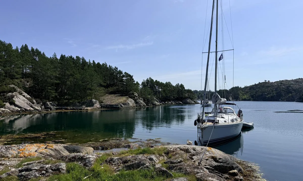 Bassnesvågen