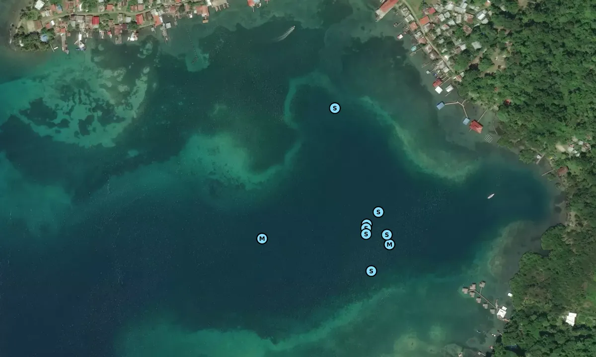 Satelite image of Bastimentos Town Anchorage