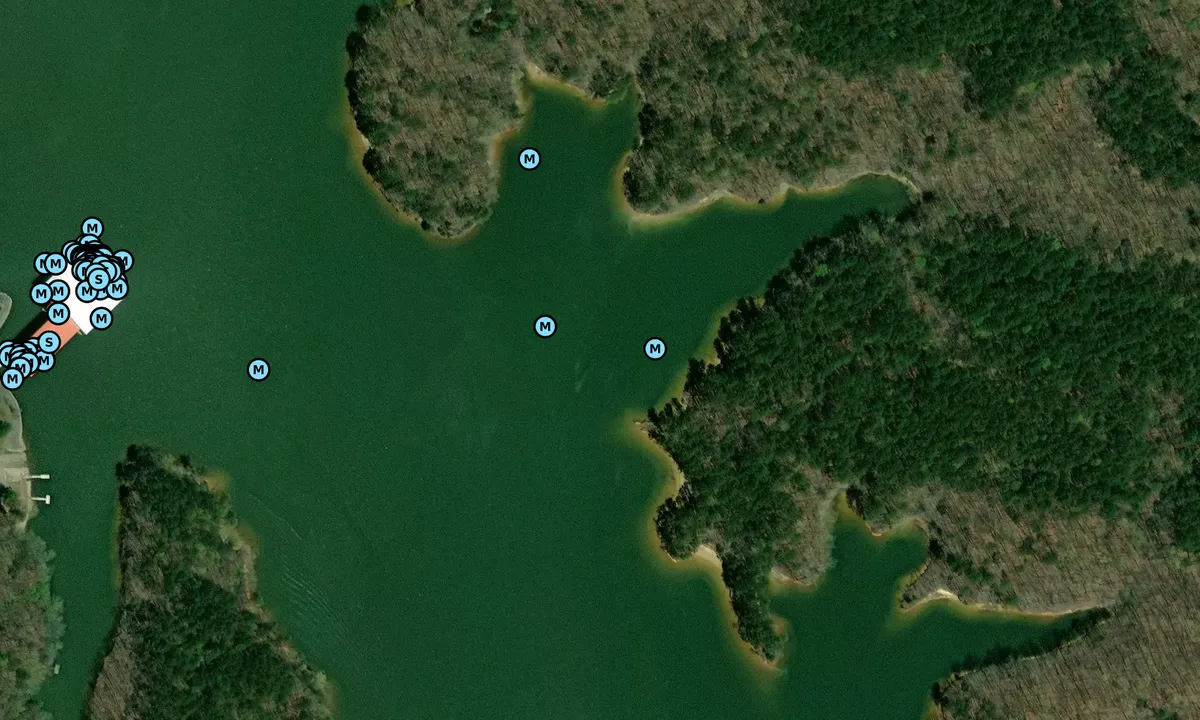 Satelite image of Bay Springs - 4
