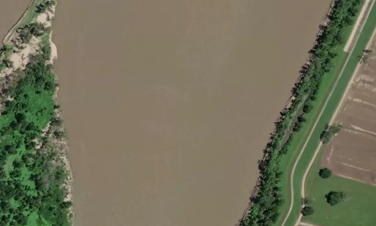Satelite image of Bayou Goula Towhead