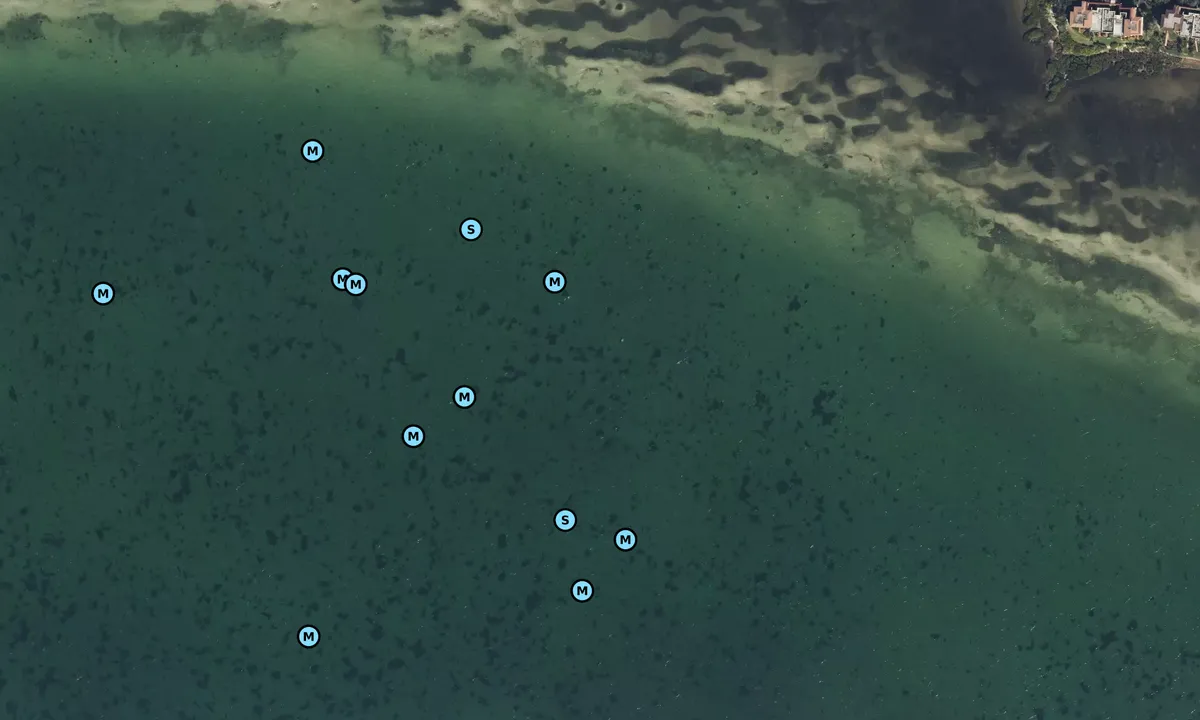 Satelite image of Bayshore Gardens