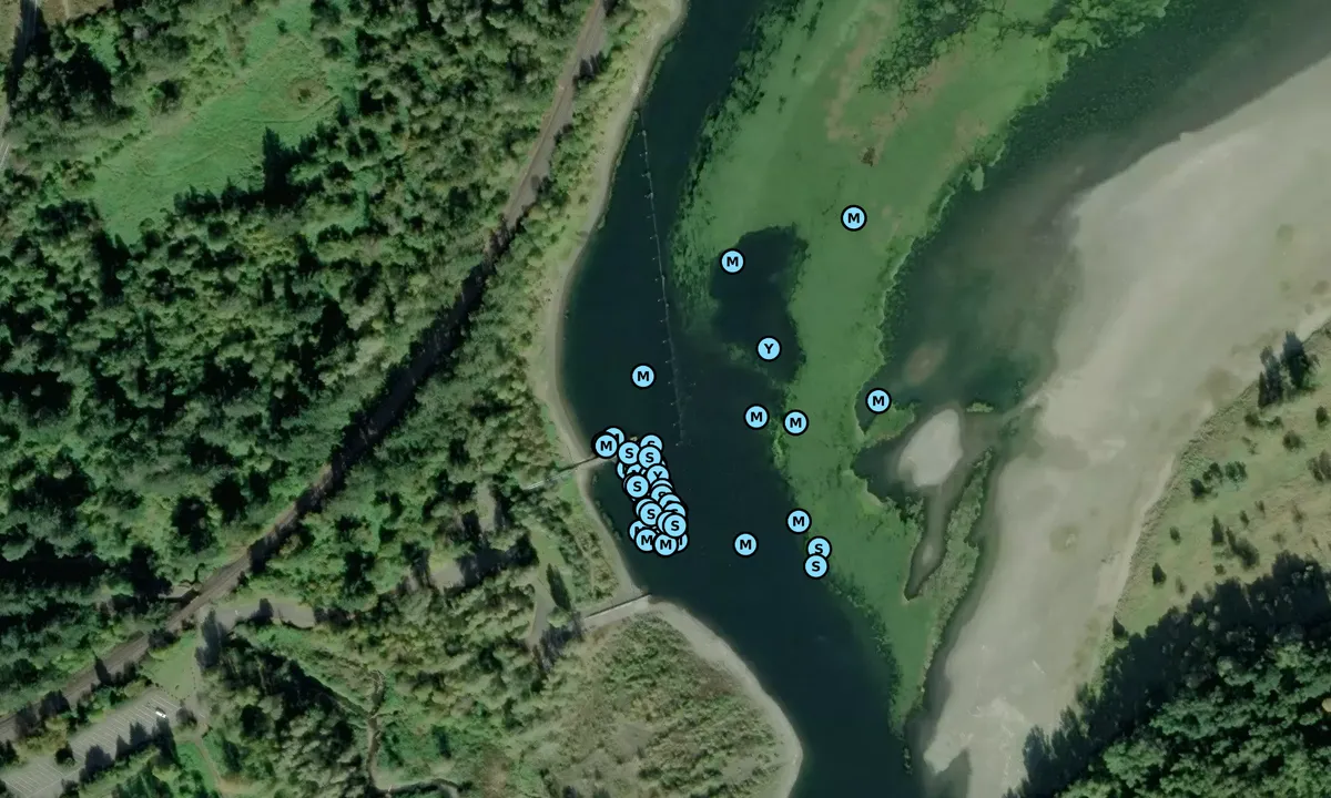 Satelite image of Beacon Rock State Park Moorage