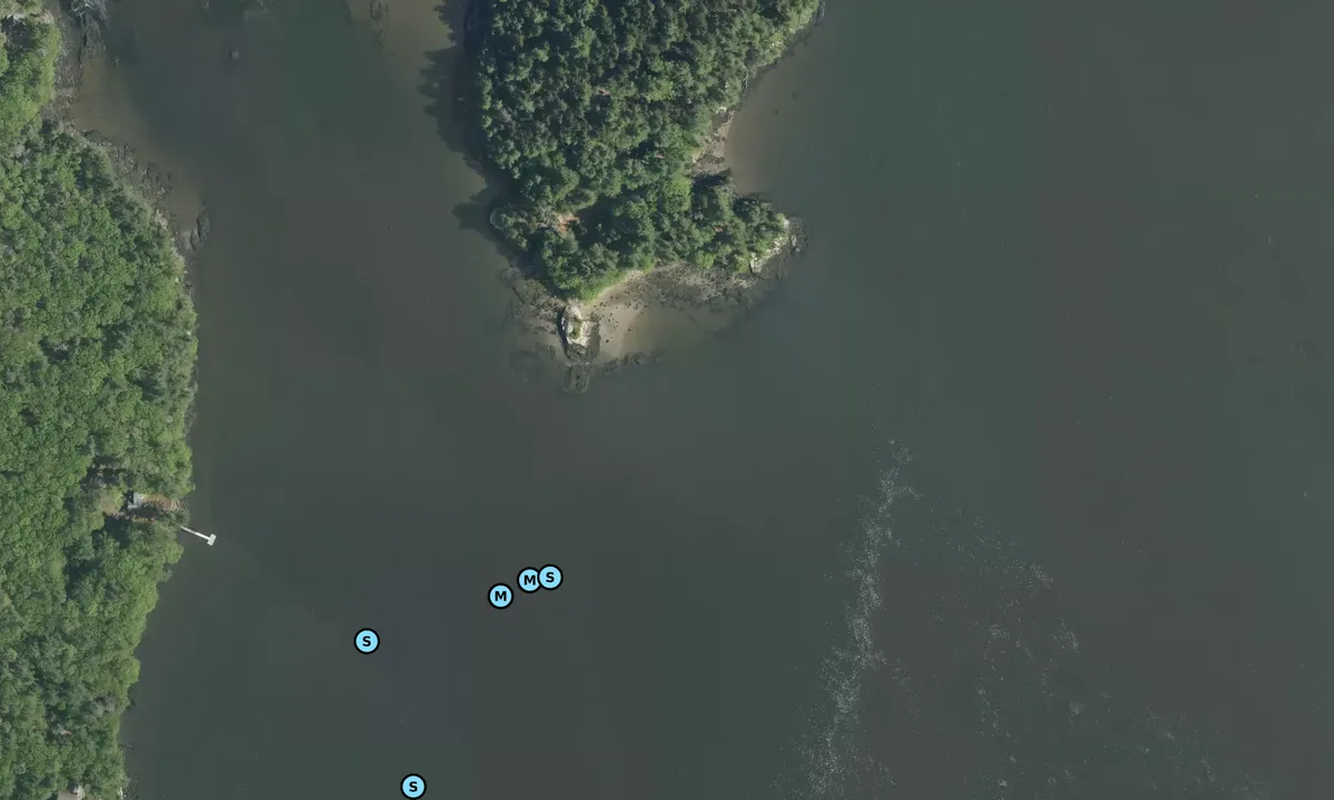 Satelite image of Beal Island - AMC