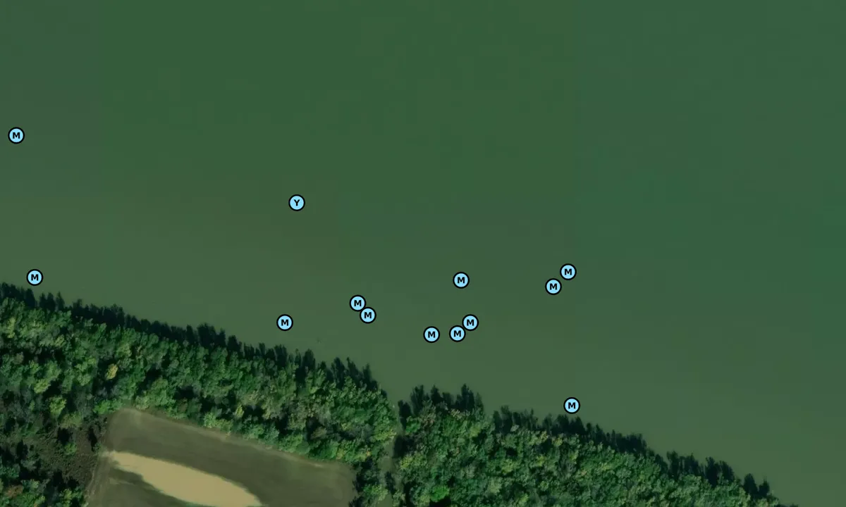 Satelite image of Bean Branch Creek