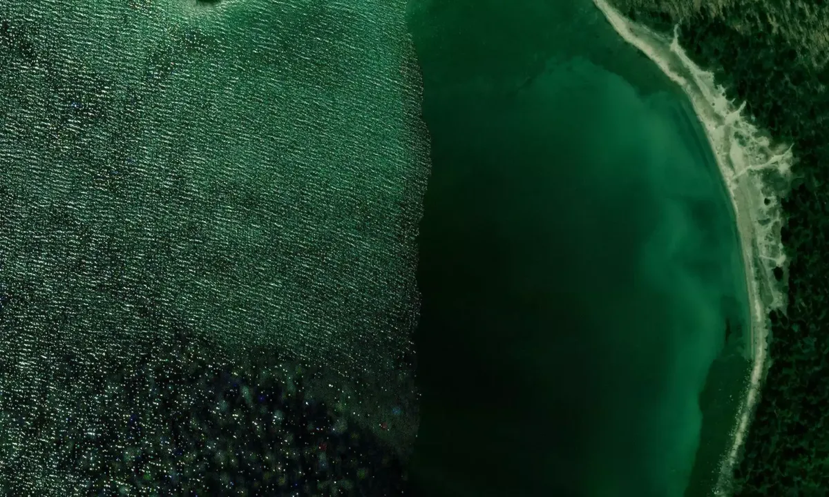 Satelite image of Beckwith Island West Bay