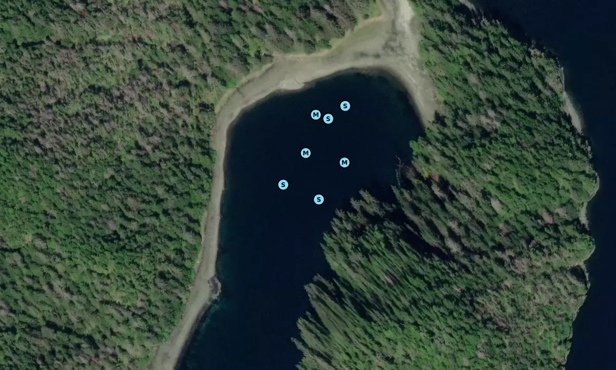 Satelite image of Beehive Island Cove