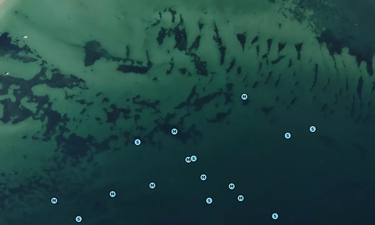 Satelite image of Behind Gurnet Point