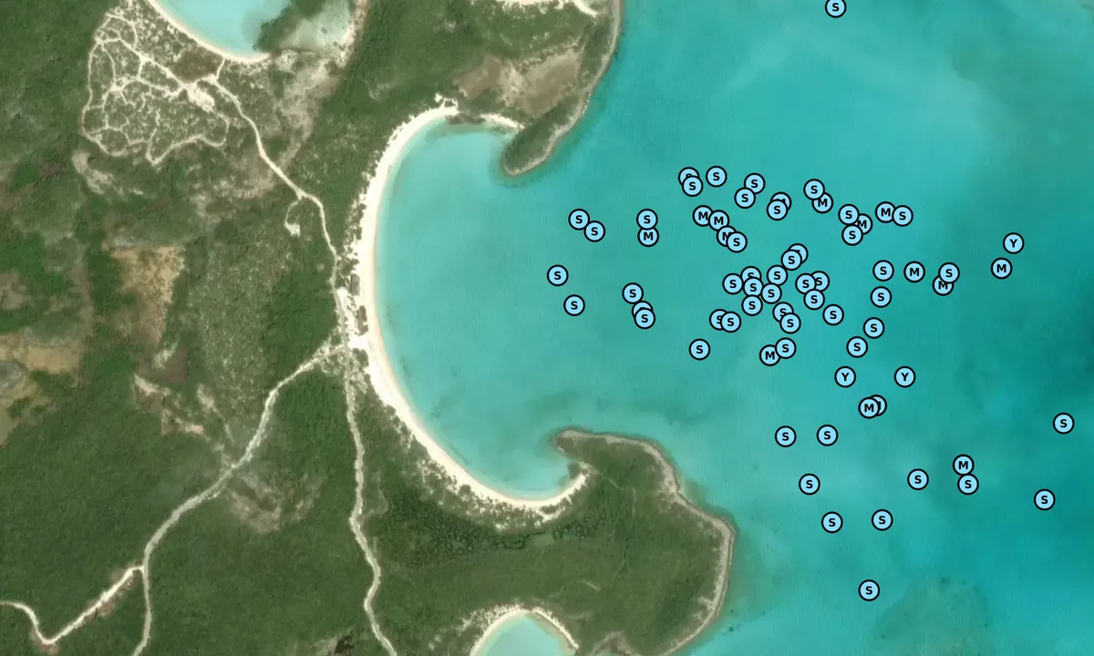 Satelite image of Bell Island