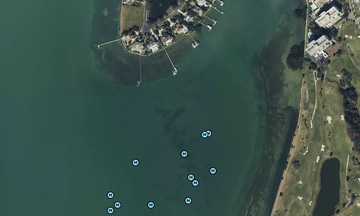 Satelite image of Belleview Island