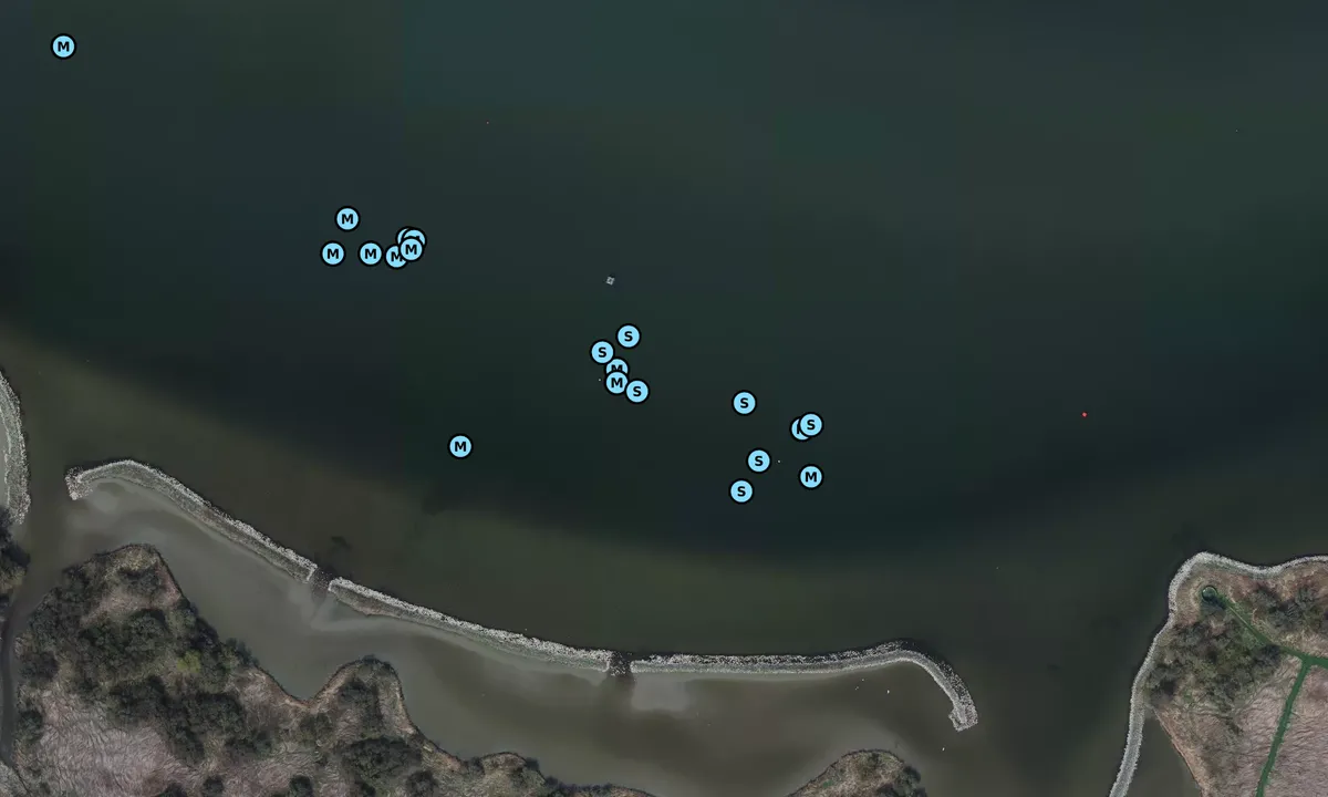 Satelite image of Beningen
