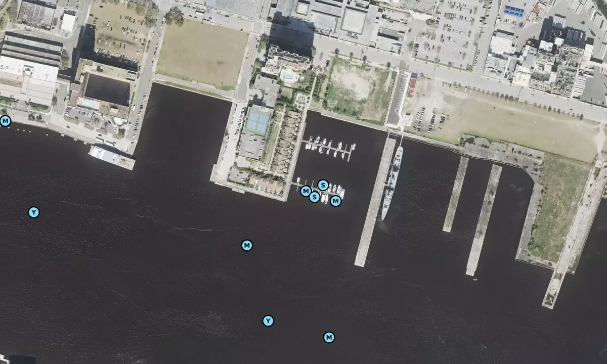 Satelite image of Berkman Plaza Marina