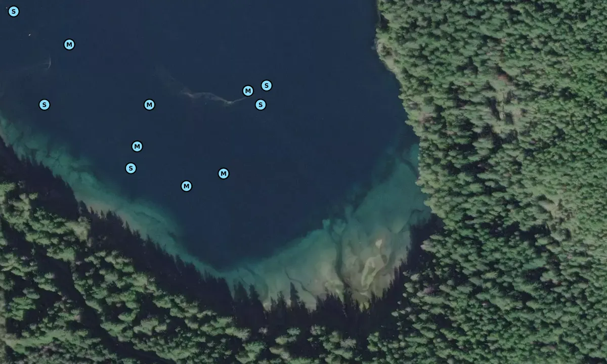 Satelite image of Bickley Bay