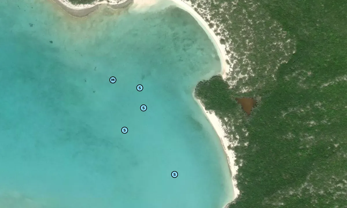 Satelite image of Big Farmers Cay