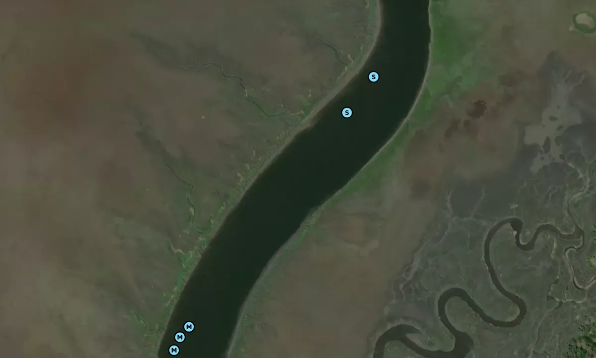 Satelite image of Big Tom Creek - 2