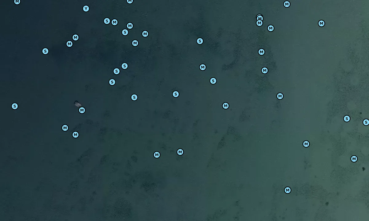 Satelite image of Billys Point