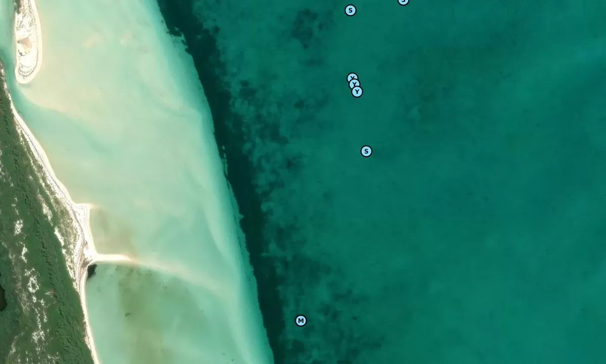 Satelite image of Bimini Northeast - 2