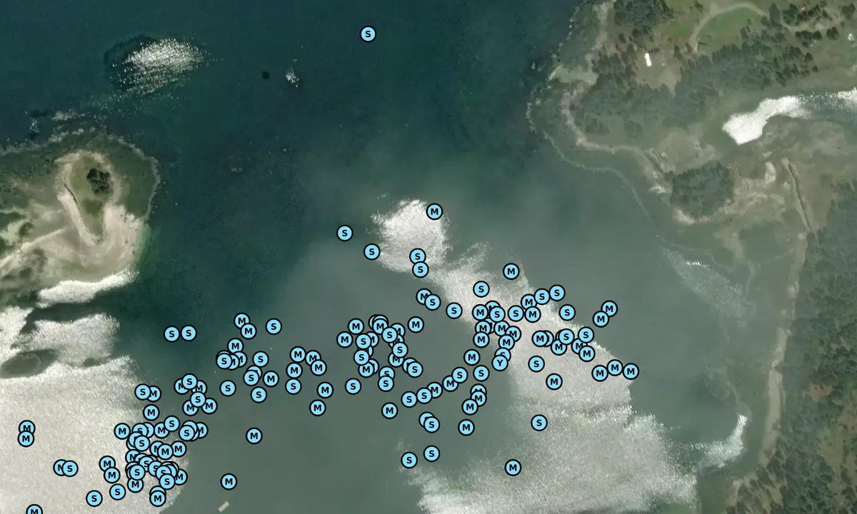 Satelite image of Birch Point