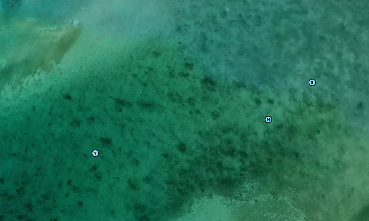 Satelite image of Bird Cay 1