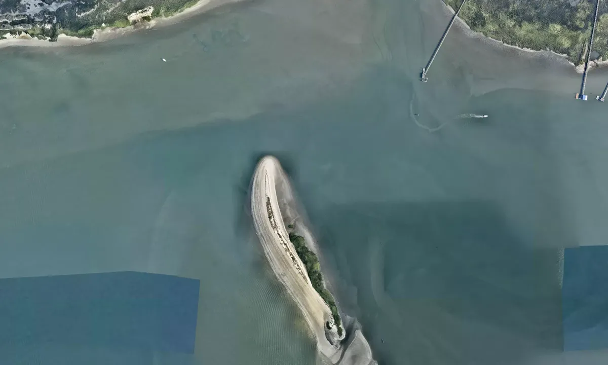 Flyfoto av Bird Island (Shem Creek)