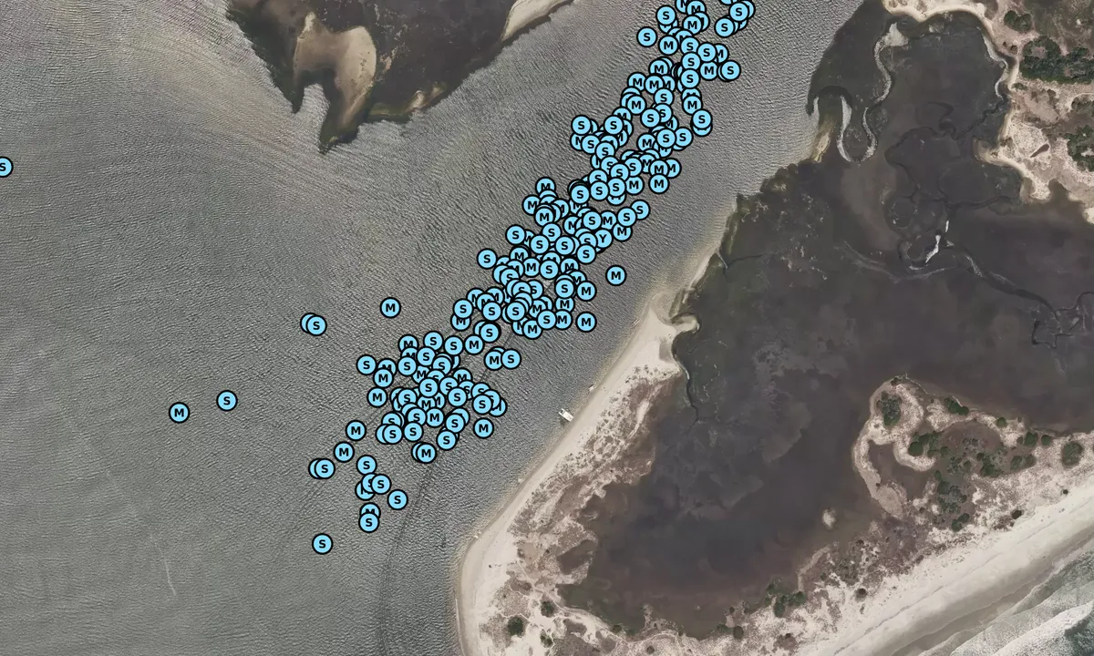 Satelite image of Bird Island - Sunset Beach