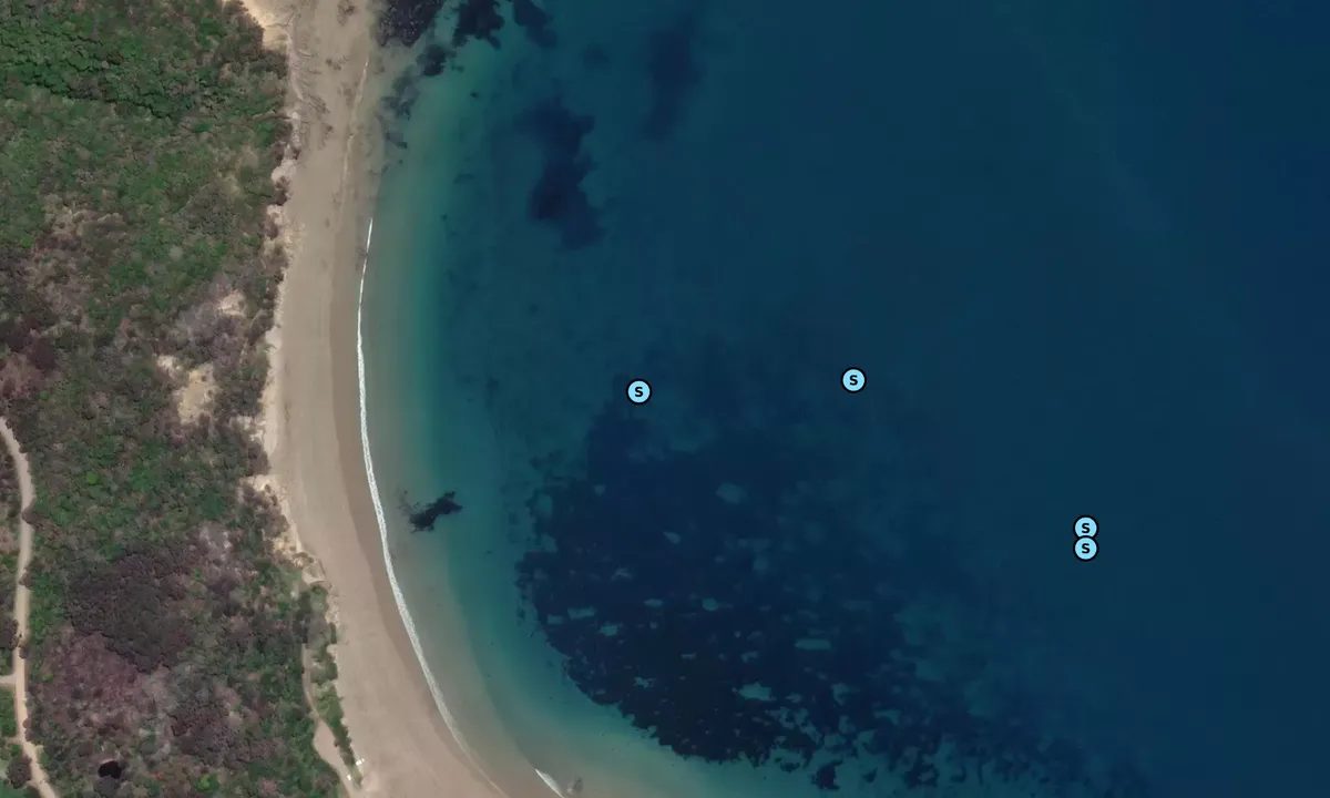 Satelite image of Bird Rock/Walkerville