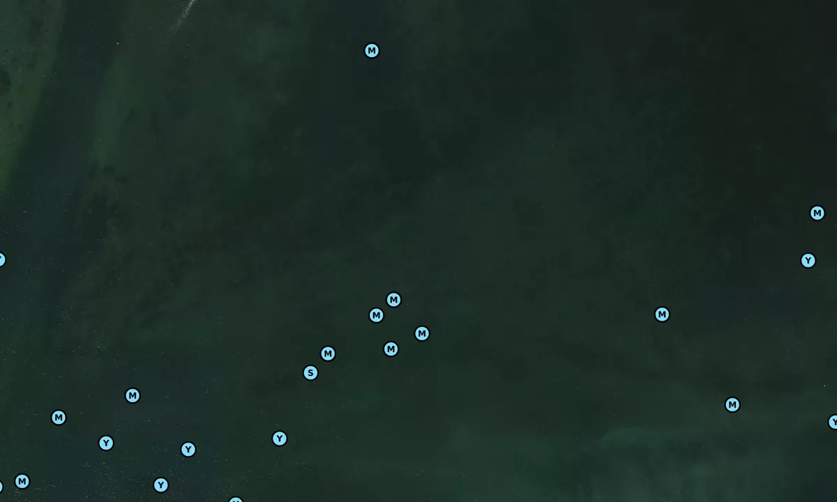 Satelite image of Biscayne Bay