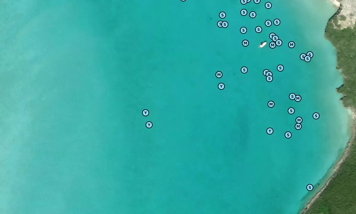 Satelite image of Bitter Guana