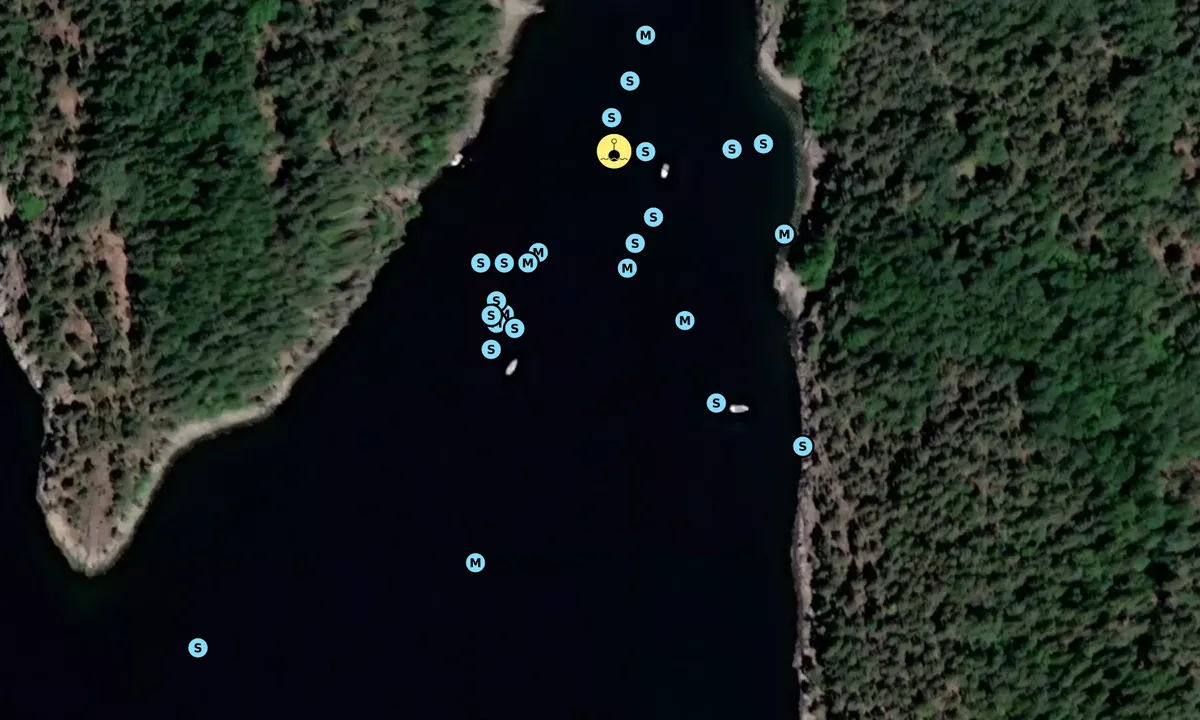 Satelite image of Bjørnebukta - Håøya