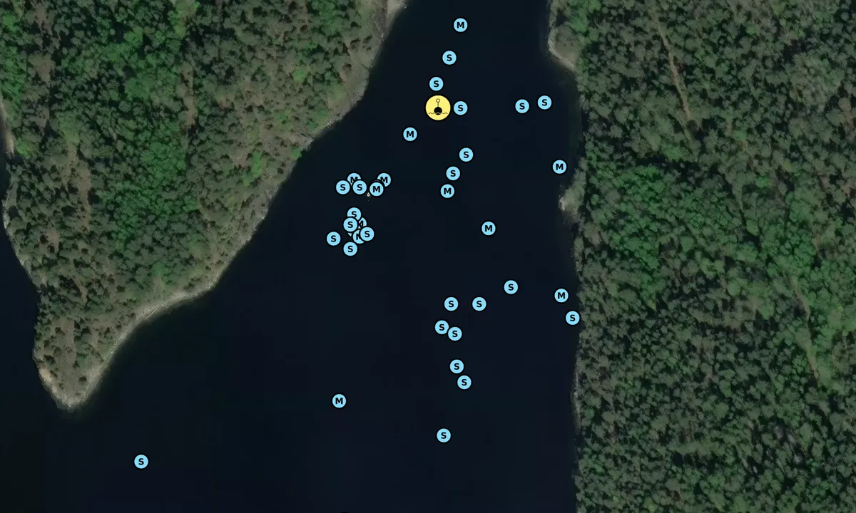 Satelite image of Bjørnebukta - Håøya