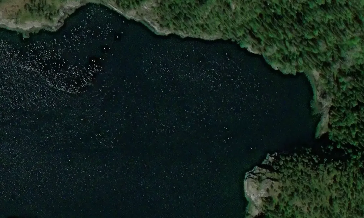 Satelite image of Bjørnvika