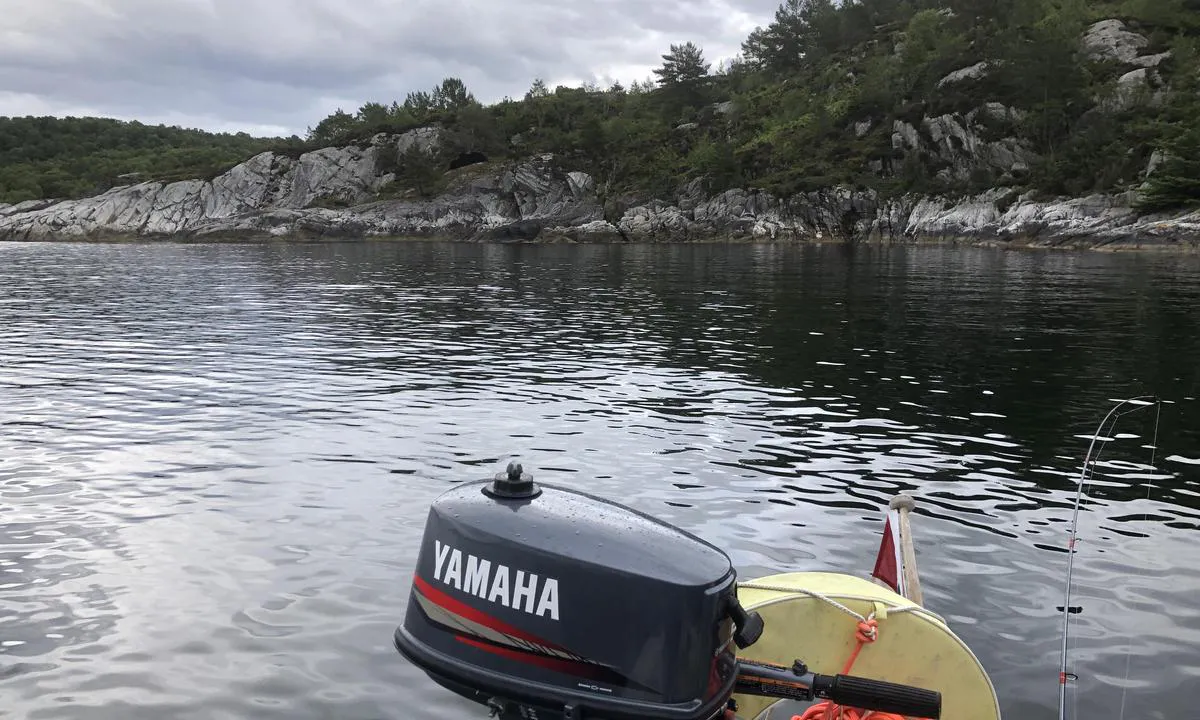 Blåbærholet