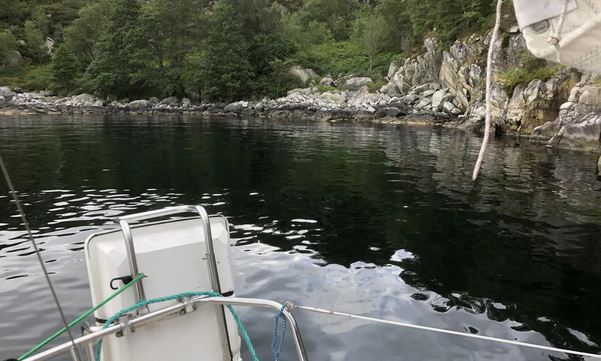 Blåbærholet