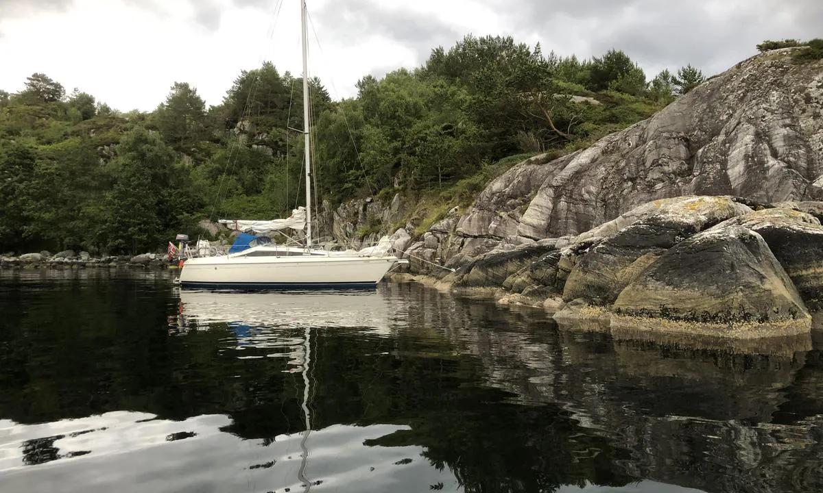 Blåbærholet
