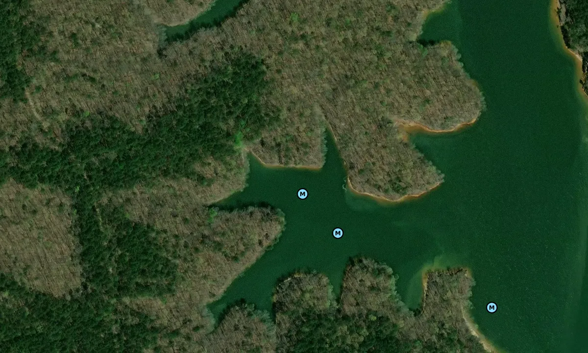 Satelite image of Blackburn Cove
