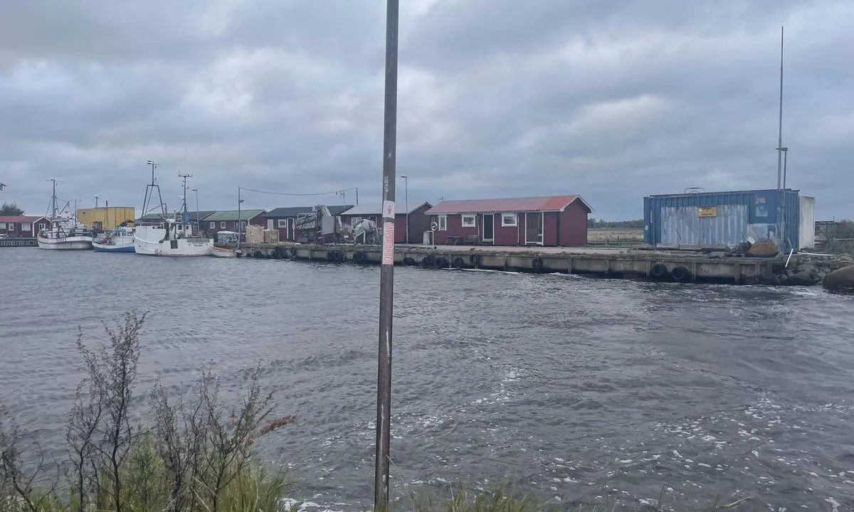 Bläsinge Gästhamn: {"base": "en", "no": "Pr\u00f8v \u00e5 fort\u00f8ye ved den nordlige piren, hvis mulig. Sp\u00f8r fiskerne om tillatelse.<br>Den s\u00f8rlige delen og midten av havneomr\u00e5det er s\u00f8lete og mindre enn 1,6 meter dyp.", "se": "F\u00f6rs\u00f6k att l\u00e4gga till vid den norra piren, om m\u00f6jligt. Be fiskaren om tillst\u00e5nd.\nS\u00f6dra och mellersta delen av hamnomr\u00e5det \u00e4r lerig och mindre \u00e4n 1,6 meter djup.", "en": "Try to tie up on the northern peer, if possible. Ask fisherman for permission.\r\nThe south and middle of harbour area is mudy and less than 1.6 meters deep.", "da": "Pr\u00f8v at l\u00e6gge til ved den nordlige mole, hvis det er muligt. Sp\u00f8rg fiskerne om tilladelse.<br>Den sydlige og midterste del af havneomr\u00e5det er mudret og mindre end 1,6 meter dybt.", "fr": "Essayez de vous amarrer sur le quai nord, si possible. Demandez la permission aux p\u00eacheurs. La partie sud et centrale du port est vaseuse et a une profondeur de moins de 1,6 m\u00e8tres.", "de": "Versuchen Sie, wenn m\u00f6glich, am n\u00f6rdlichen Pier festzumachen. Fragen Sie die Fischer um Erlaubnis.<br>Der s\u00fcdliche und mittlere Bereich des Hafens ist schlammig und weniger als 1,6 Meter tief.", "es": "Intente amarrarse en el muelle norte, si es posible. Pida permiso a los pescadores. <br> La parte sur y central de la zona del puerto es fangosa y tiene menos de 1.6 metros de profundidad.", "it": "Cerca di ormeggiare al molo nord, se possibile. Chiedi il permesso ai pescatori. La parte sud e centrale dell'area del porto \u00e8 fangosa e profonda meno di 1,6 metri.", "pt": "Tente atracar no cais norte, se poss\u00edvel. Pe\u00e7a permiss\u00e3o aos pescadores. A \u00e1rea sul e central do porto \u00e9 lamacenta e tem menos de 1,6 metros de profundidade.", "nl": "Probeer indien mogelijk aan te meren aan de noordelijke pier. Vraag toestemming aan de vissers. Het zuidelijke en middelste deel van de haven is modderig en minder dan 1,6 meter diep.", "pl": "Spr\u00f3buj zacumowa\u0107 przy p\u00f3\u0142nocnym nabrze\u017cu, je\u015bli to mo\u017cliwe. Zapytaj rybak\u00f3w o pozwolenie. Po\u0142udniowa i \u015brodkowa cz\u0119\u015b\u0107 portu jest mulista i ma g\u0142\u0119boko\u015b\u0107 mniejsz\u0105 ni\u017c 1,6 metra.", "uk": "\u041d\u0430\u043c\u0430\u0433\u0430\u0439\u0442\u0435\u0441\u044f \u0448\u0432\u0430\u0440\u0442\u0443\u0432\u0430\u0442\u0438\u0441\u044f \u0434\u043e \u043f\u0456\u0432\u043d\u0456\u0447\u043d\u043e\u0433\u043e \u043f\u0440\u0438\u0447\u0430\u043b\u0443, \u044f\u043a\u0449\u043e \u0446\u0435 \u043c\u043e\u0436\u043b\u0438\u0432\u043e. \u041f\u043e\u043f\u0440\u043e\u0441\u0456\u0442\u044c \u0434\u043e\u0437\u0432\u043e\u043b\u0443 \u0443 \u0440\u0438\u0431\u0430\u043a\u0430. \u041f\u0456\u0432\u0434\u0435\u043d\u043d\u0430 \u0442\u0430 \u0446\u0435\u043d\u0442\u0440\u0430\u043b\u044c\u043d\u0430 \u0447\u0430\u0441\u0442\u0438\u043d\u0438 \u0433\u0430\u0432\u0430\u043d\u0456 \u0454 \u043c\u0443\u043b\u0438\u0441\u0442\u0438\u043c\u0438 \u0442\u0430 \u0433\u043b\u0438\u0431\u0438\u043d\u043e\u044e \u043c\u0435\u043d\u0448\u0435 1.6 \u043c\u0435\u0442\u0440\u0430.", "ro": "\u00cencerca\u021bi s\u0103 acostati la cheiul nordic, dac\u0103 este posibil. Cere\u021bi permisiunea pescarilor. Sudul \u0219i mijlocul zonei portului sunt m\u00e2loase \u0219i au o ad\u00e2ncime mai mic\u0103 de 1,6 metri.", "tr": "E\u011fer m\u00fcmk\u00fcnse kuzey r\u0131ht\u0131m\u0131na ba\u011flanmaya \u00e7al\u0131\u015f\u0131n. Bal\u0131k\u00e7\u0131lardan izin isteyin. Liman alan\u0131n\u0131n g\u00fcneyi ve ortas\u0131 \u00e7amurludur ve derinli\u011fi 1.6 metreden azd\u0131r.", "el": "\u03a0\u03c1\u03bf\u03c3\u03c0\u03b1\u03b8\u03ae\u03c3\u03c4\u03b5 \u03bd\u03b1 \u03b4\u03ad\u03c3\u03b5\u03c4\u03b5 \u03c3\u03c4\u03bf\u03bd \u03b2\u03cc\u03c1\u03b5\u03b9\u03bf \u03bc\u03cc\u03bb\u03bf, \u03b5\u03ac\u03bd \u03b5\u03af\u03bd\u03b1\u03b9 \u03b4\u03c5\u03bd\u03b1\u03c4\u03cc\u03bd. \u0396\u03b7\u03c4\u03ae\u03c3\u03c4\u03b5 \u03ac\u03b4\u03b5\u03b9\u03b1 \u03b1\u03c0\u03cc \u03c4\u03bf\u03bd \u03c8\u03b1\u03c1\u03ac.<br>\u0397 \u03bd\u03cc\u03c4\u03b9\u03b1 \u03ba\u03b1\u03b9 \u03b7 \u03bc\u03b5\u03c3\u03b1\u03af\u03b1 \u03c0\u03b5\u03c1\u03b9\u03bf\u03c7\u03ae \u03c4\u03bf\u03c5 \u03bb\u03b9\u03bc\u03b1\u03bd\u03b9\u03bf\u03cd \u03b5\u03af\u03bd\u03b1\u03b9 \u03bb\u03b1\u03c3\u03c0\u03ce\u03b4\u03b7\u03c2 \u03ba\u03b1\u03b9 \u03bc\u03b5 \u03b2\u03ac\u03b8\u03bf\u03c2 \u03bb\u03b9\u03b3\u03cc\u03c4\u03b5\u03c1\u03bf \u03b1\u03c0\u03cc 1,6 \u03bc\u03ad\u03c4\u03c1\u03b1.", "cs": "Pokuste se p\u0159iv\u00e1zat na severn\u00edm molu, pokud je to mo\u017en\u00e9. Po\u017e\u00e1dejte ryb\u00e1\u0159e o povolen\u00ed. Ji\u017en\u00ed a st\u0159edn\u00ed \u010d\u00e1st p\u0159\u00edstavu je bahnit\u00e1 a m\u00e9n\u011b ne\u017e 1,6 metru hlubok\u00e1.", "hu": "Pr\u00f3b\u00e1ljon meg kik\u00f6tni az \u00e9szaki m\u00f3l\u00f3n\u00e1l, ha lehets\u00e9ges. K\u00e9rjen enged\u00e9lyt a hal\u00e1szt\u00f3l.<br>A kik\u00f6t\u0151 d\u00e9li \u00e9s k\u00f6z\u00e9ps\u0151 r\u00e9sze iszapos, \u00e9s kevesebb mint 1,6 m\u00e9ter m\u00e9ly.", "fi": "Yrit\u00e4 kiinnitty\u00e4 pohjoiselle laiturille, jos mahdollista. Kysy kalastajalta lupaa.\nSataaman etel\u00e4- ja keskiosat ovat mutaisia ja alle 1,6 metri\u00e4 syvi\u00e4.", "bg": "\u041e\u043f\u0438\u0442\u0430\u0439\u0442\u0435 \u0441\u0435 \u0434\u0430 \u0441\u0435 \u0432\u044a\u0440\u0436\u0435\u0442\u0435 \u043d\u0430 \u0441\u0435\u0432\u0435\u0440\u043d\u0438\u044f \u043a\u0435\u0439, \u0430\u043a\u043e \u0435 \u0432\u044a\u0437\u043c\u043e\u0436\u043d\u043e. \u041f\u0438\u0442\u0430\u0439\u0442\u0435 \u0440\u0438\u0431\u0430\u0440\u0438\u0442\u0435 \u0437\u0430 \u0440\u0430\u0437\u0440\u0435\u0448\u0435\u043d\u0438\u0435. \u042e\u0436\u043d\u0430\u0442\u0430 \u0438 \u0441\u0440\u0435\u0434\u043d\u0430\u0442\u0430 \u0447\u0430\u0441\u0442 \u043d\u0430 \u043f\u0440\u0438\u0441\u0442\u0430\u043d\u0438\u0449\u043d\u0430\u0442\u0430 \u0437\u043e\u043d\u0430 \u0441\u0430 \u043a\u0430\u043b\u043d\u0438 \u0438 \u0434\u044a\u043b\u0431\u043e\u0447\u0438\u043d\u0430\u0442\u0430 \u0438\u043c \u0435 \u043f\u043e\u0434 1.6 \u043c\u0435\u0442\u0440\u0430.", "sr": "Poku\u0161ajte vezati na severnom pristani\u0161tu, ako je mogu\u0107e. Pitajte ribara za dozvolu. Jug i sredina luke su muljeviti i duboki manje od 1,6 metara.", "et": "Proovige v\u00f5imalusel p\u00f5hjamuulile kinnituda. K\u00fcsige kaluritelt luba.<br/>Sadama l\u00f5una- ja keskosa on mudane ja v\u00e4hem kui 1,6 meetrit s\u00fcgav.", "lv": "M\u0113\u0123iniet piesieties pie zieme\u013cu molu, ja iesp\u0113jams. Pajaut\u0101jiet zvejniekam at\u013cauju. Ostas dienvidu un centr\u0101l\u0101 da\u013ca ir dub\u013caina un maz\u0101ka par 1,6 metriem dzi\u013cum\u0101.", "lt": "Pabandykite prisiri\u0161ti prie \u0161iaurinio molio, jei \u012fmanoma. Papra\u0161ykite \u017evej\u0173 leidimo. Pietin\u0117 ir vidurin\u0117 uosto dalis yra dumblina ir ma\u017eiau nei 1,6 metro gylio."}