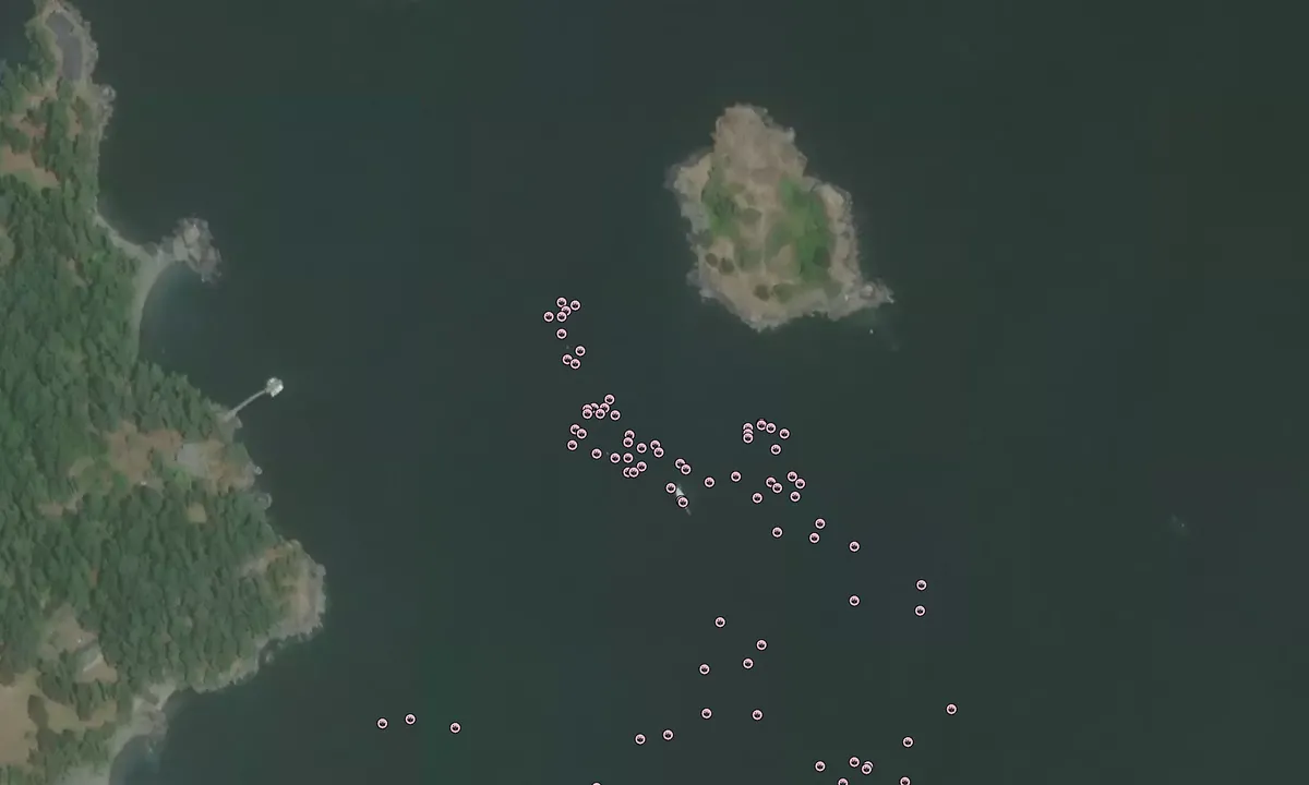 Flyfoto av Blind Island (moorings)