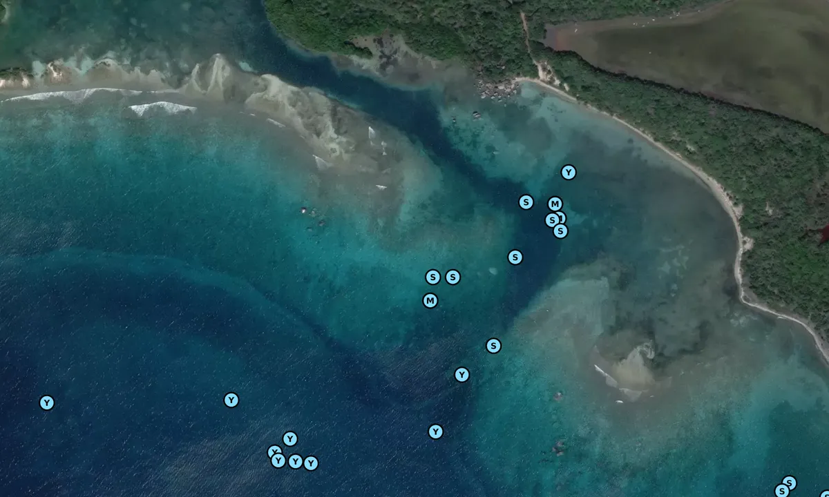 Satelite image of Bluff Bay 1