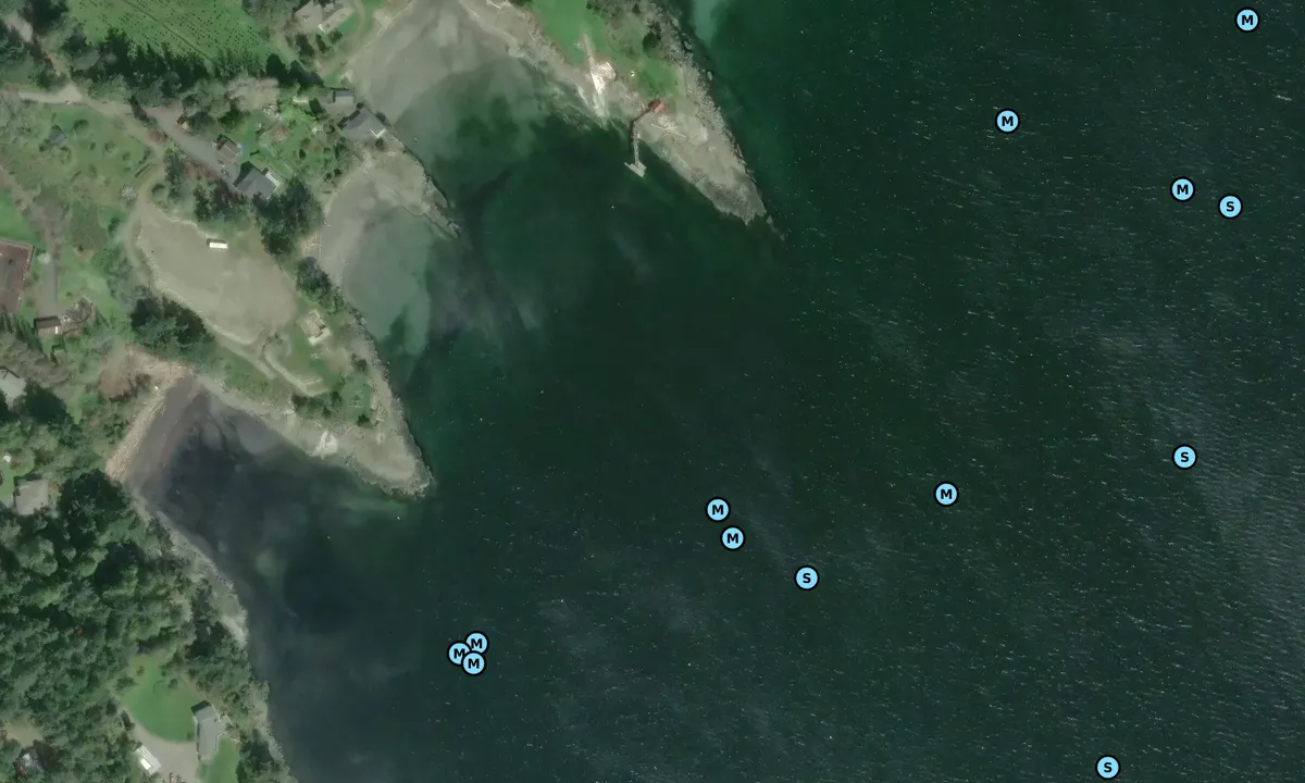 Satelite image of boat harbour