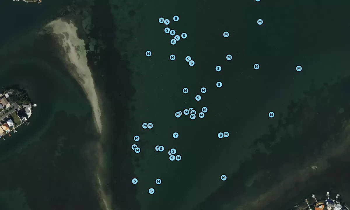 Satelite image of Boca Ciega (West)