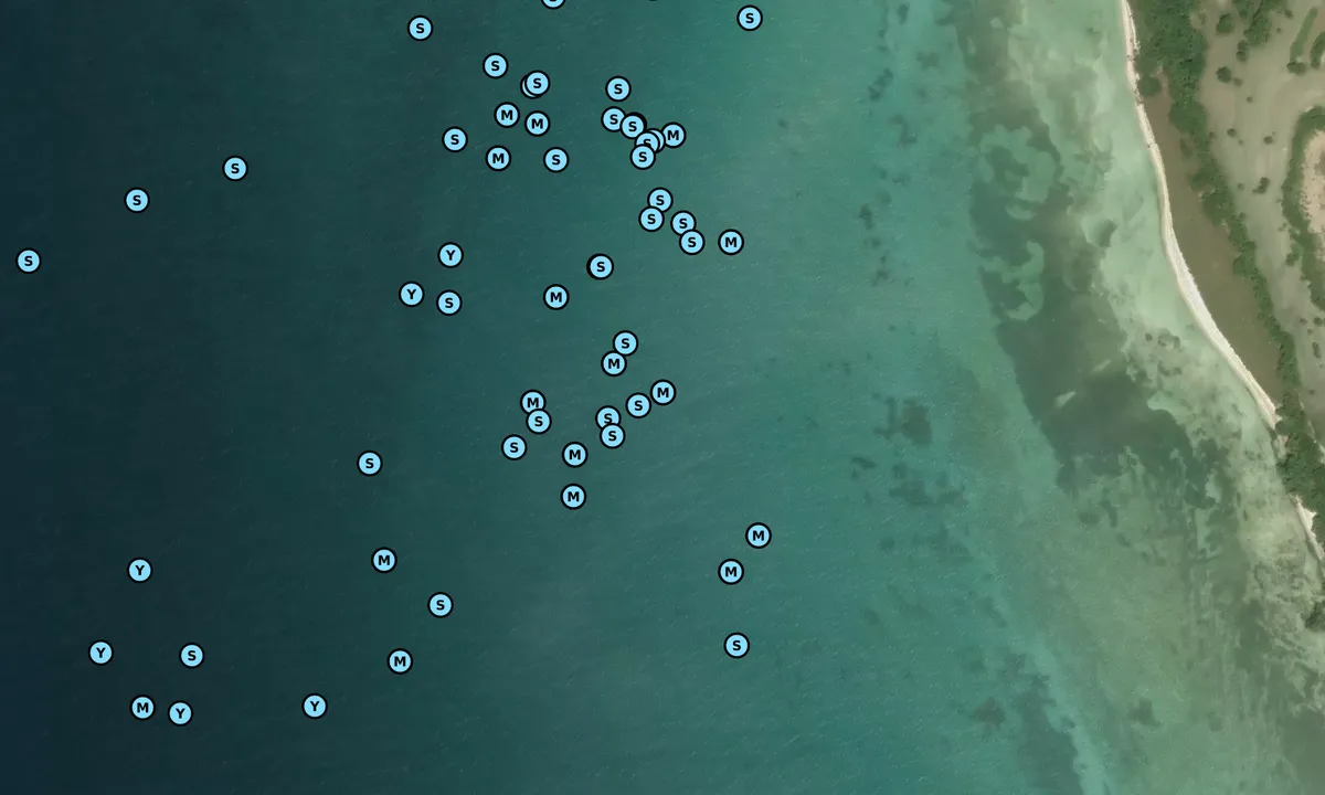 Satelite image of Boca Grande - 2