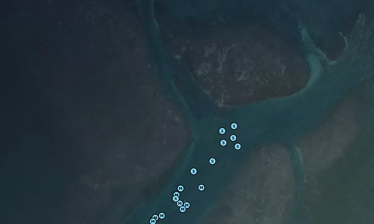 Satelite image of Boca Grande (moorings)
